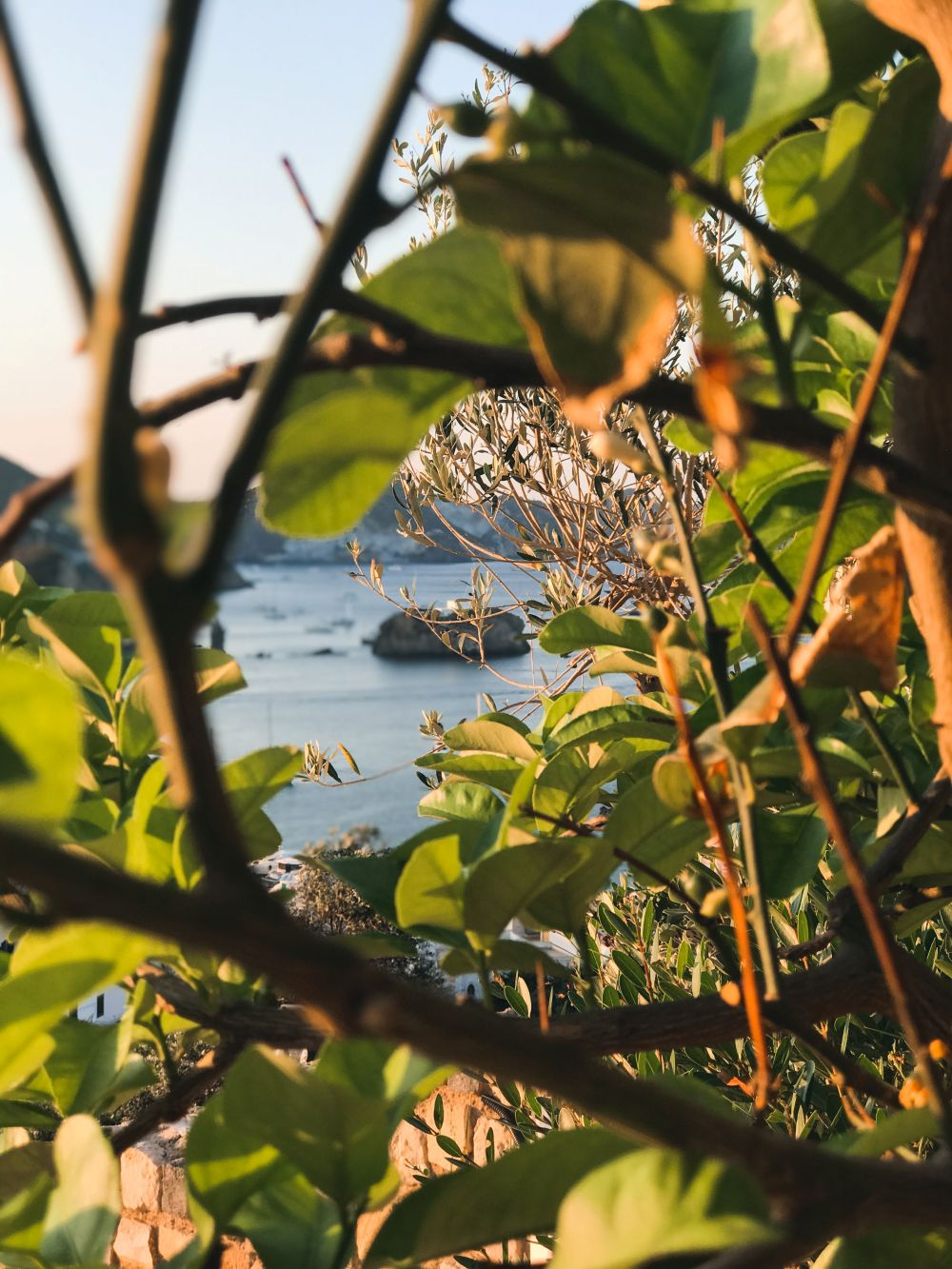 Isola di Ponza, foto 2