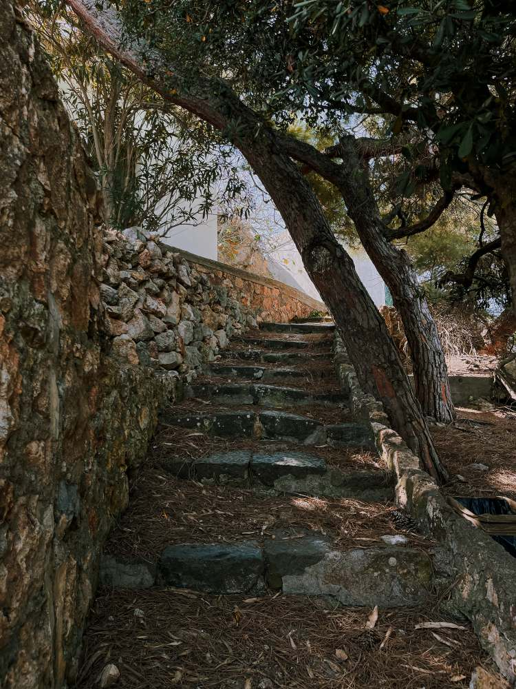 Isola di Ponza, foto 21