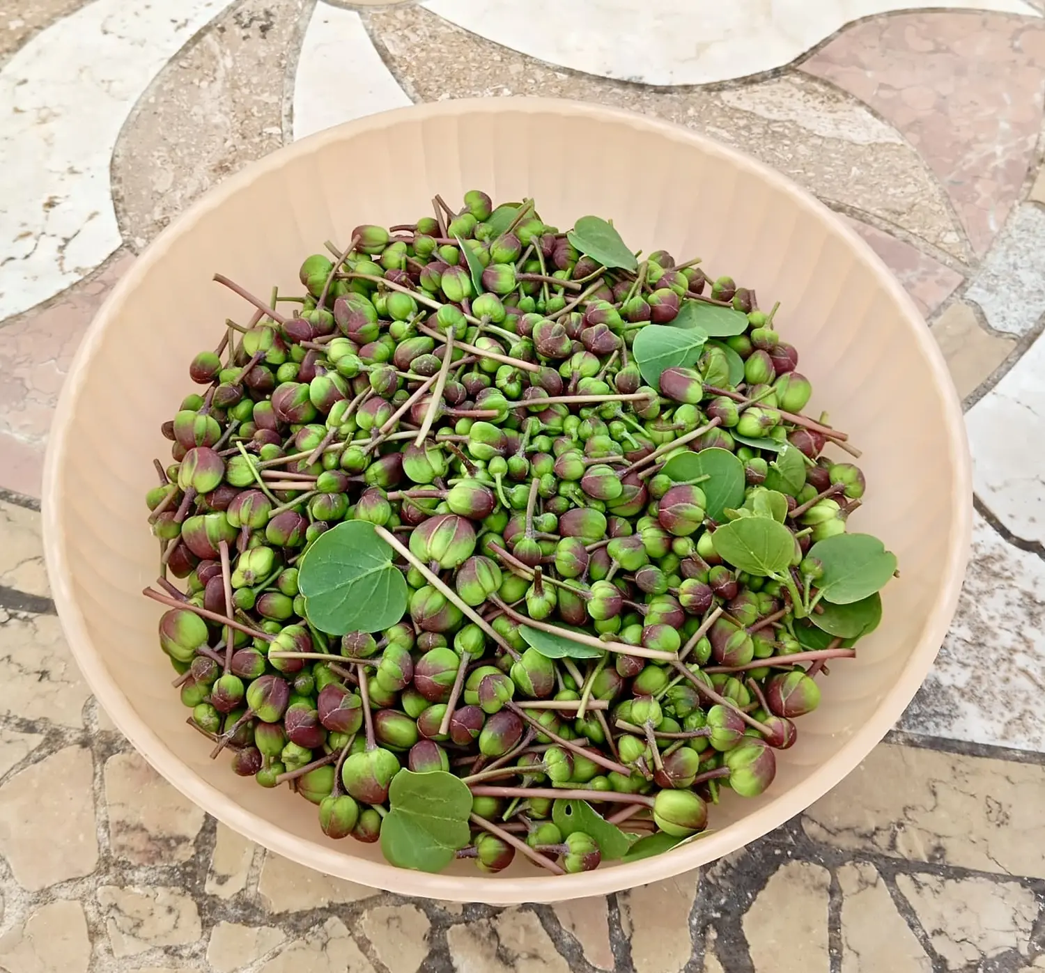 Orto biologico Le Querce, foto 3